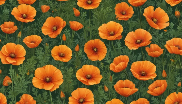 The Enchanting California Poppy: A Closer Look at Its Astonishing Facts