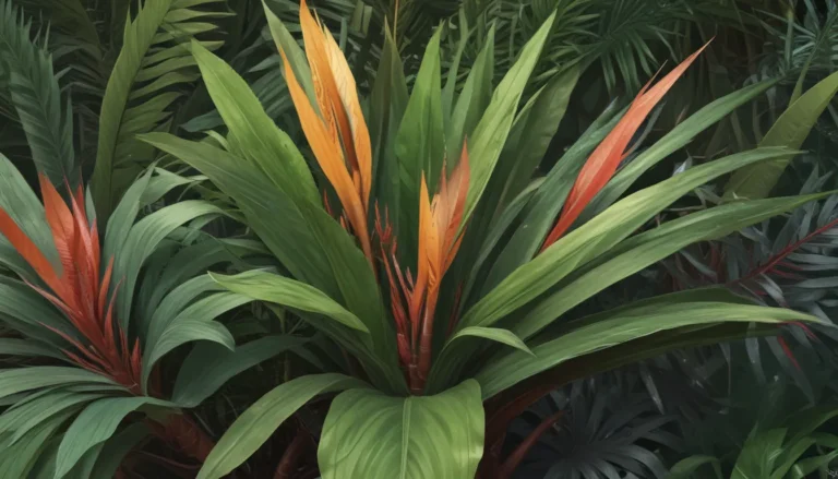 Unraveling the Wonders of Cordyline: 18 Astonishing Facts About This Tropical Plant