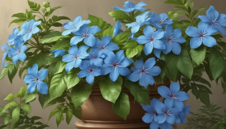 Unveiling the Enchanting World of Plumbago: 19 Astonishing Facts About This Fascinating Plant