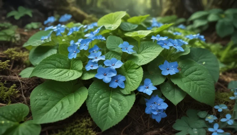 Discover the Enchantment of Brunnera: 15 Fascinating Facts