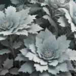 captivating facts about dusty miller 0ea5f5e9 1