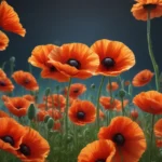 enigmatic facts about breadseed poppy 4d135326