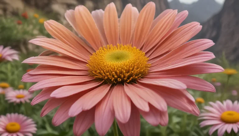 Unveiling the Mysteries of Copper Canyon Daisy: 13 Enchanting Facts About This Perennial Beauty