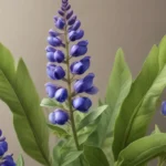 enigmatic facts about false indigo afc10127 1