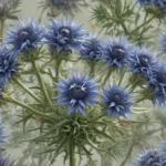 enigmatic facts about sea holly f44fcf8f 1