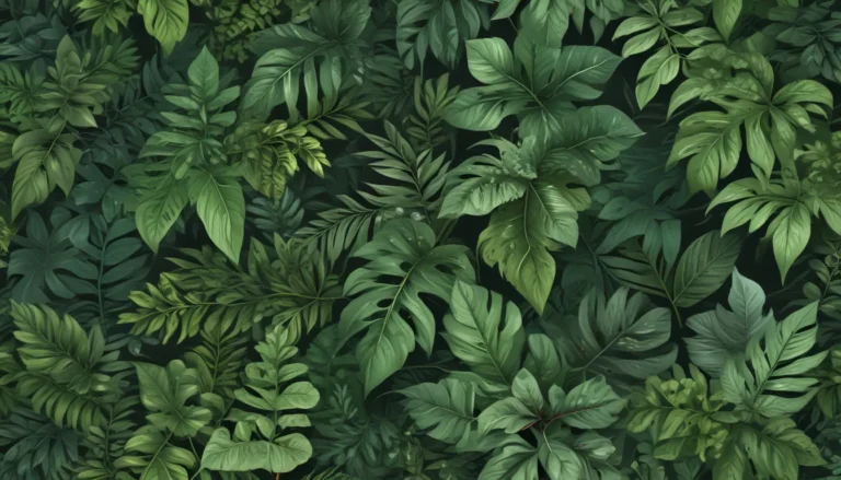 Embracing Foliage: A Comprehensive Guide to Leafy Beauties