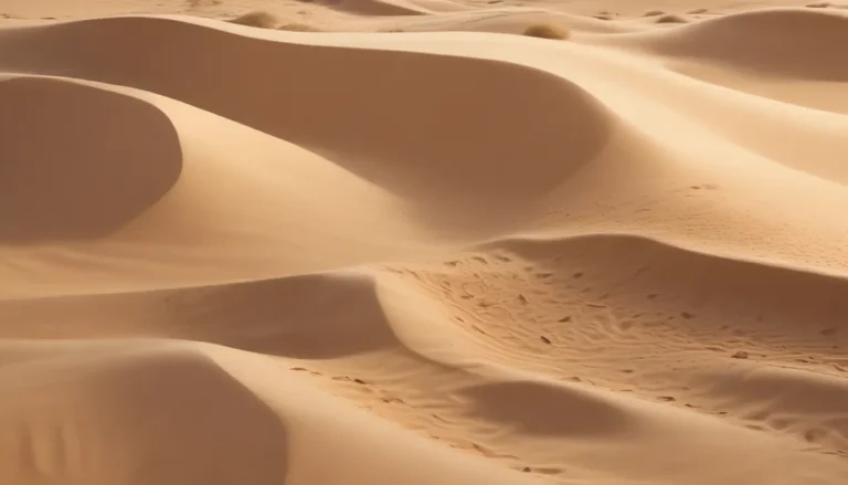 The Fascinating World of Sand: 19 Intriguing Facts Unveiled