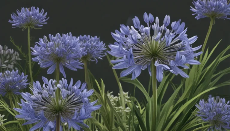 Unveiling the Wonders of Agapanthus: 14 Fascinating Facts