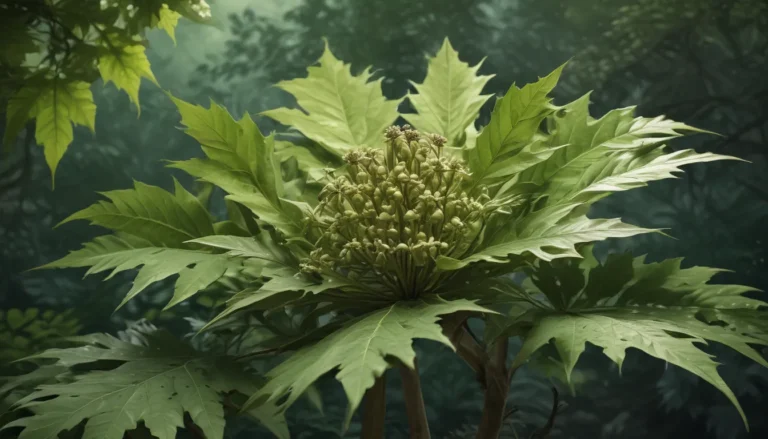 Discovering the Wonder of Fatsia: 11 Intriguing Facts