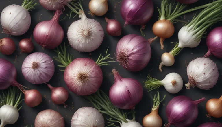 Discover the Enchanting World of Ornamental Onions: 20 Captivating Facts