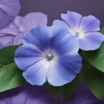 intriguing facts about periwinkle 7c1e9dd5