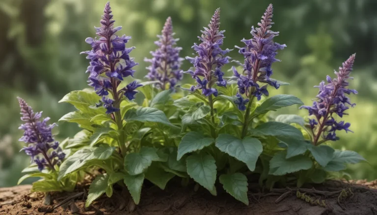 Discover the Wonders of Bugleweed: 12 Fascinating Facts Unveiled