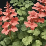 mind blowing facts about coral bells 1ba7077d