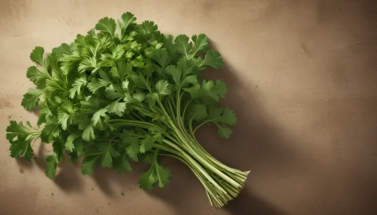 Discover the Magic of Parsley: 8 Surprising Facts Revealed