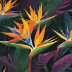 surprising facts about bird of paradise flower ac9fd88b