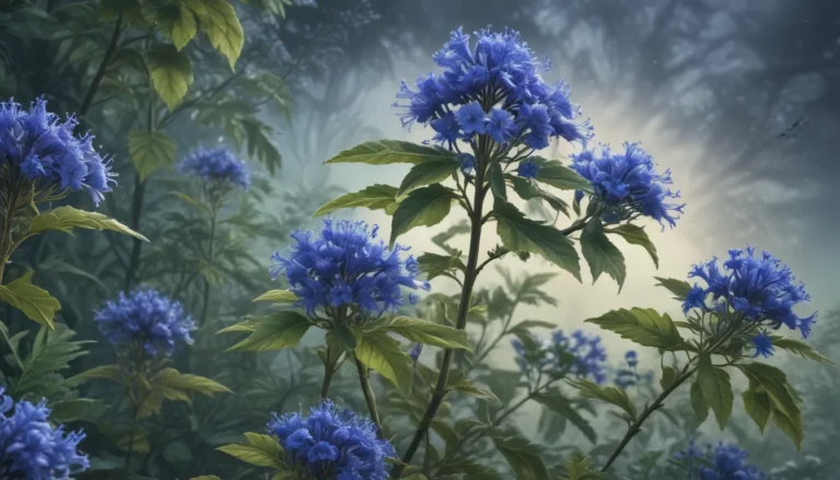 Unveiling the Wonders of Caryopteris: A Guide to the Vibrant Blue Mist Shrub