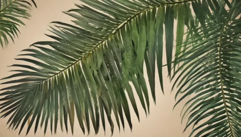 Unveiling the Beauty of Feather Palm: 10 Surprising Facts