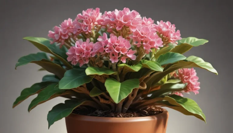 Unveiling the Marvels of Kalanchoe: 15 Astonishing Facts to Ignite Your Plant Passion