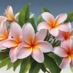 surprising facts about plumeria b1338dff 1