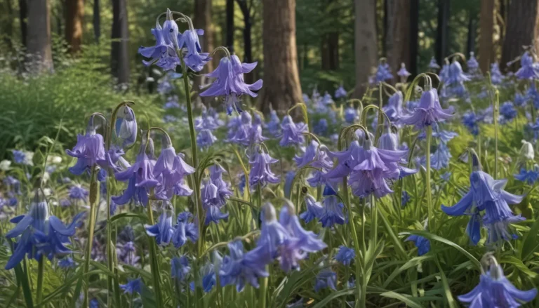 Discovering the Enchanting Spanish Bluebell: A Closer Look at 18 Fascinating Facts