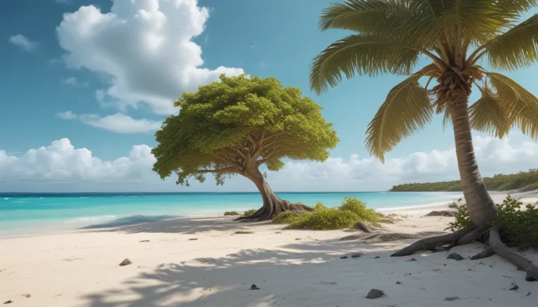 Discover Aldabra Atoll: A Paradise Unveiled