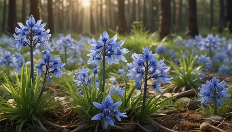 Discover the Beauty of Siberian Squill: 10 Fascinating Facts