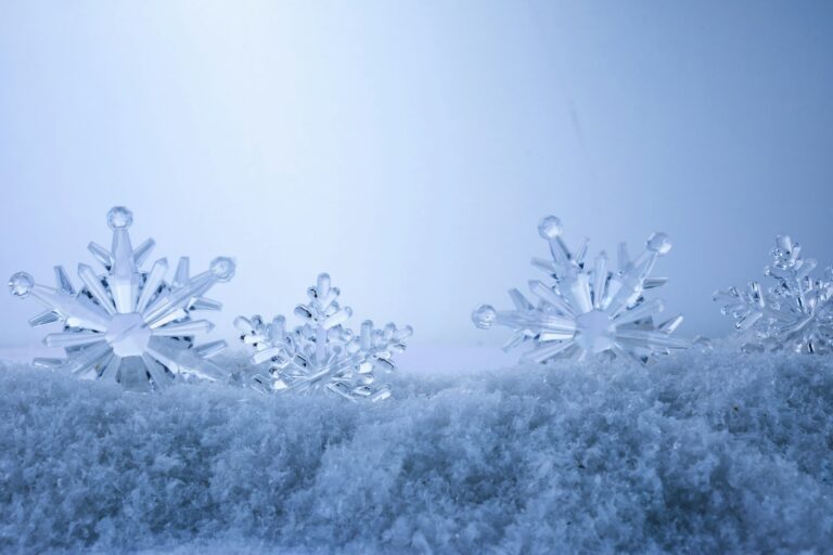 15 Fascinating Facts About Snowflakes