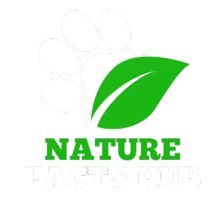 nature facts hub footer