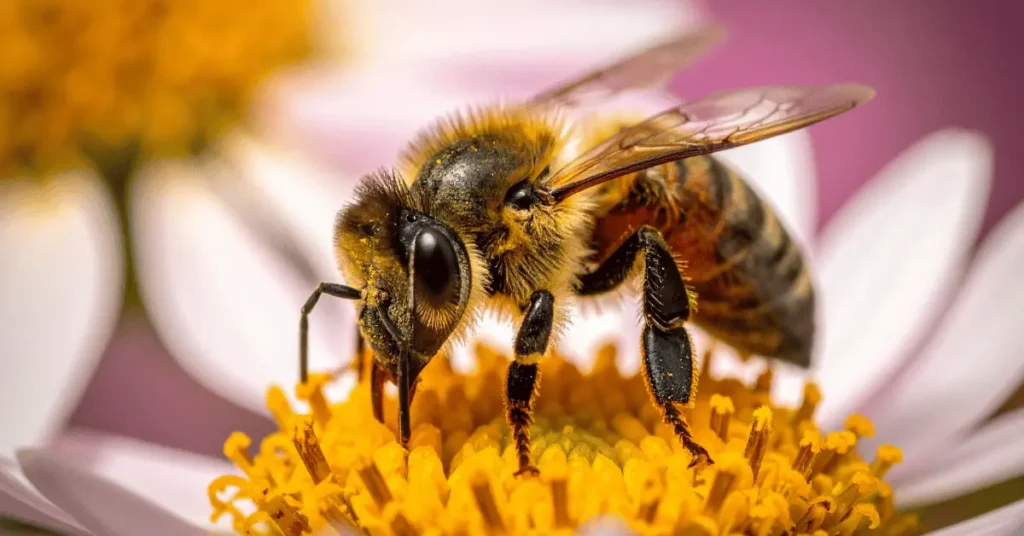 150+ Facts About Bees: Ancient Pollinators to 2026 Science 1 Facts About Bees